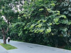 -深圳湾科技园丽雅查尔顿酒店