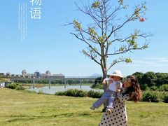 -风云岭森林公园