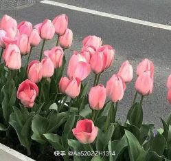 -HEYAN荷妍专业脱毛连锁机构