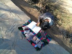 -泸沽湖国家级风景名胜区走婚桥