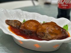 -丁老爷子苏香圆