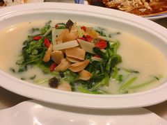 上汤菠菜-九朝会昆曲·宴(望京店)