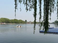 -后海公园