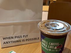 -WHEN PIGS FLY当猪飞