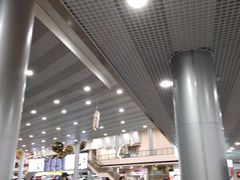 -谢列梅捷沃国际机场