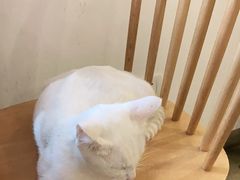 -正南齐北·老街糯米团(洪崖洞店)