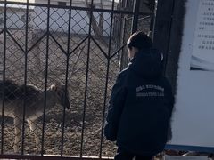 -大青山野生动物园