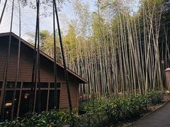 -苏州环秀晓筑养生度假村