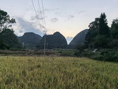 -高荡千年布依古寨旅游景区