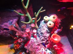 -沈阳海洋探索中心