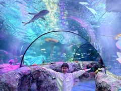 -沈阳海洋探索中心