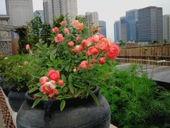 -瓦库茶馆17号(海汇港店)