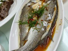 -日日香卤鹅饭店·澄海狮头鹅(澄海店)