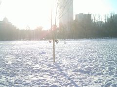 -哈尔滨文化公园