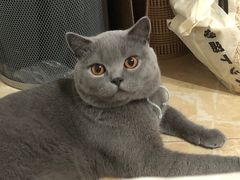 -佳雯宠物医院·皮肤科·内外科(春晓路分院)