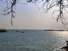 -贡湖湾湿地公园