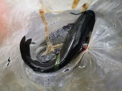 -生态苑农庄(十里画廊遇龙河店)