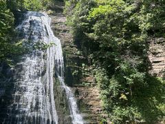-鹿院坪生态旅游景区
