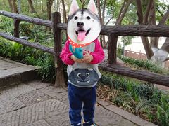 -成都市活水公园