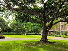 -厦门国家会计学院
