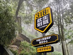 -碧峰峡风景区