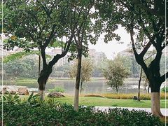 -映月湖公园