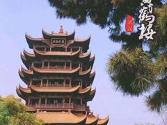 -黄鹤楼公园(黄鹤楼)