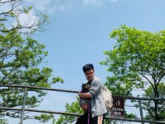 -紫金山山顶公园
