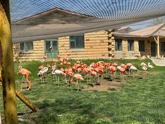 -哈尔滨北方森林动物园