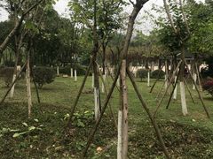 -火炉山森林公园