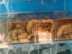 -丁字口海鲜热炒·烧烤大排档