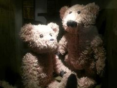 -济州岛泰迪熊博物馆