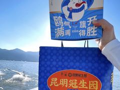 -昆明冠生园·鲜花饼·面包蛋糕(老街店)