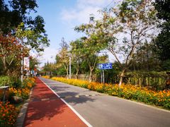 -前小桔亲子创意农场·草莓采摘·露营烧烤