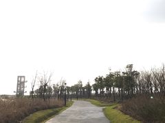 -春花秋色城市公园