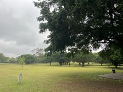 -东莞植物园