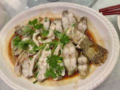 蒸桂鱼-南园酒家(前进路店)