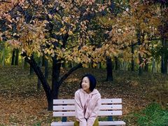 -三里屯东五街银杏大道
