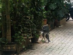 -江南西(地铁站)