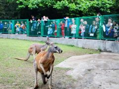 -西安秦岭野生动物园