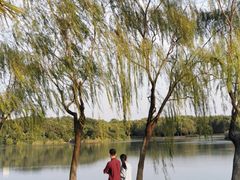 -东华大学(松江校区)