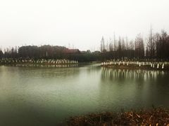 -艾溪湖湿地公园