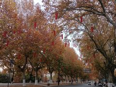 -泰州凤城河风景区-泰山公园