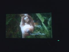 -CGV星星影城(颐堤港ScreenX店)