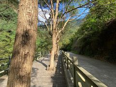 -宁波五龙潭景区