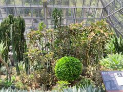 -深圳仙湖植物园