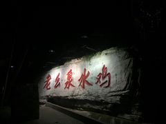 -老幺泉水鸡