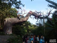 -德庆盘龙峡生态旅游区