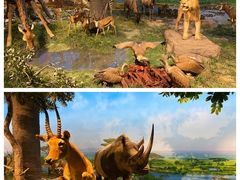 -国家自然博物馆