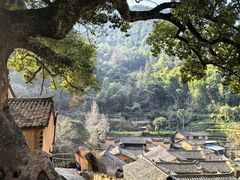 -杨家堂村
